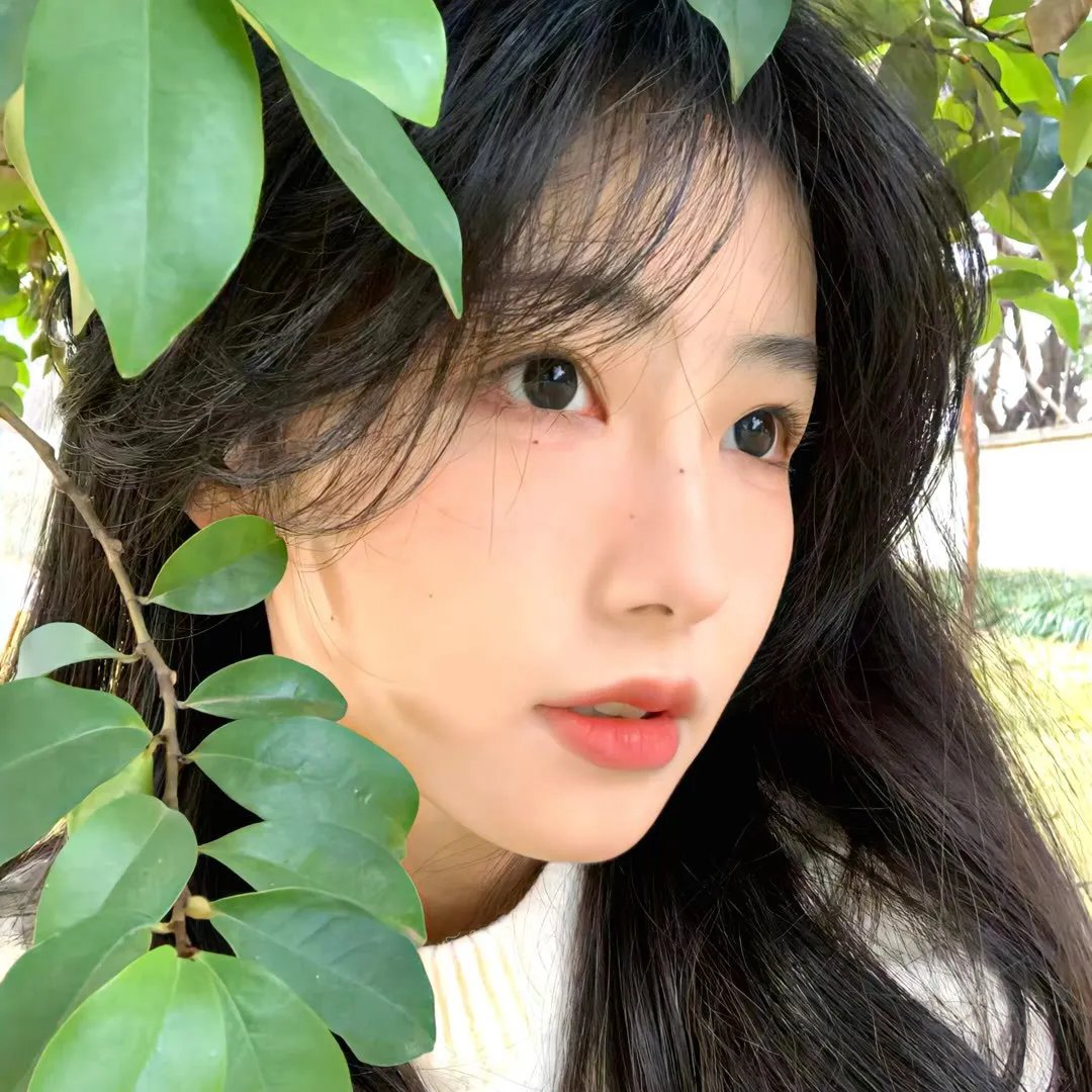 揭密风暴